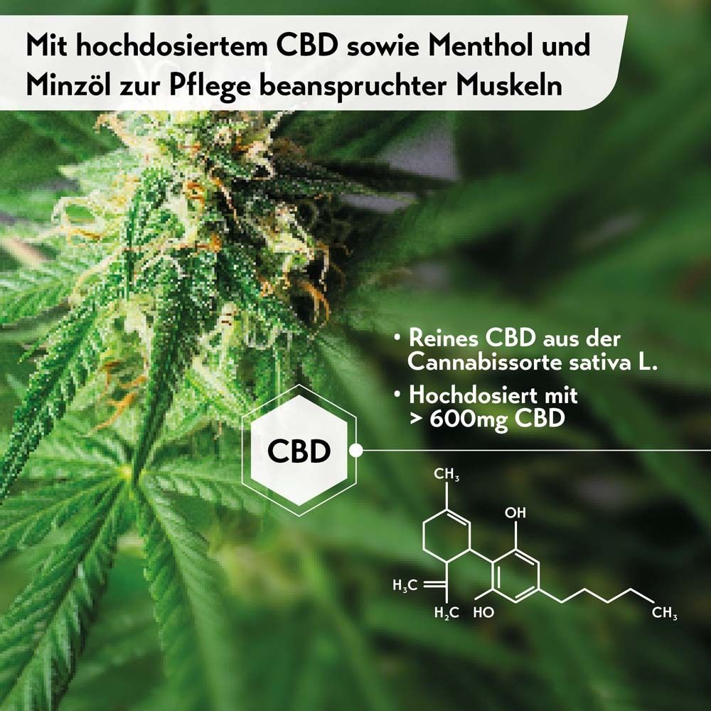 Nahaufnahme von Cannabisblüten. Text: Mit hochdosiertem CBD sowie Menthol und Minzöl zur Pflege beanspruchter Muskeln. CBD-Formel.