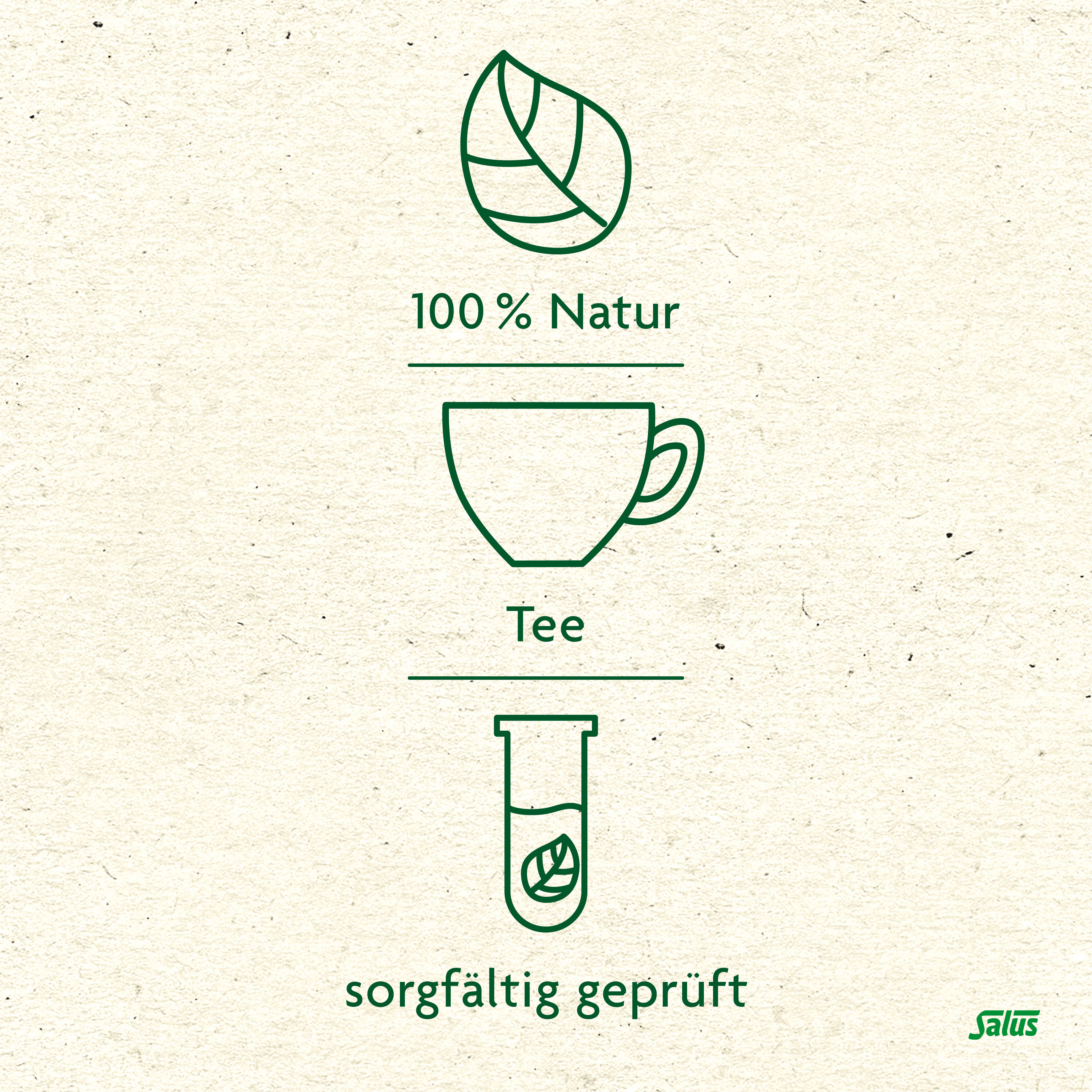 Kräutertee für die Haut Nr.14a Bio Salus Fbeutel