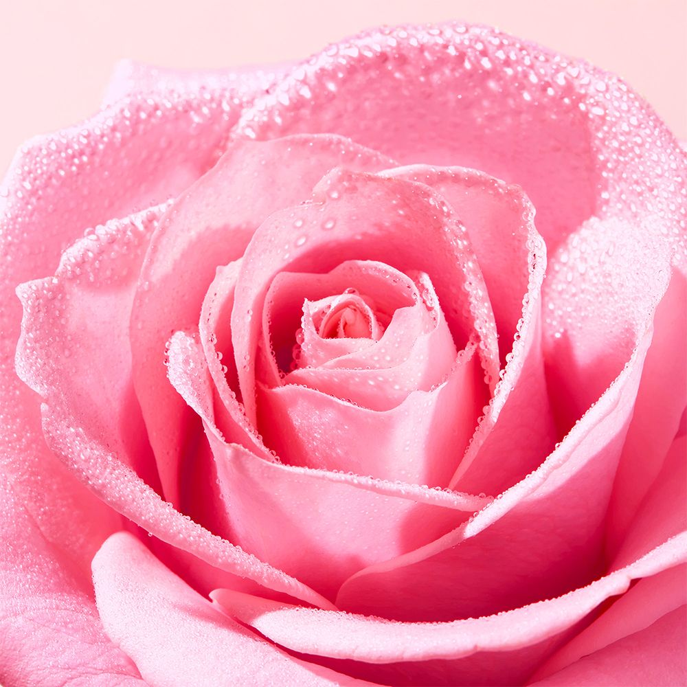 NUXE Very Rose Mizellen Reinigungsöl zur sanften Gesichtsreinigung und Make-up Entfernung im gesicht und Augenbereich bei empfindlicher Haut