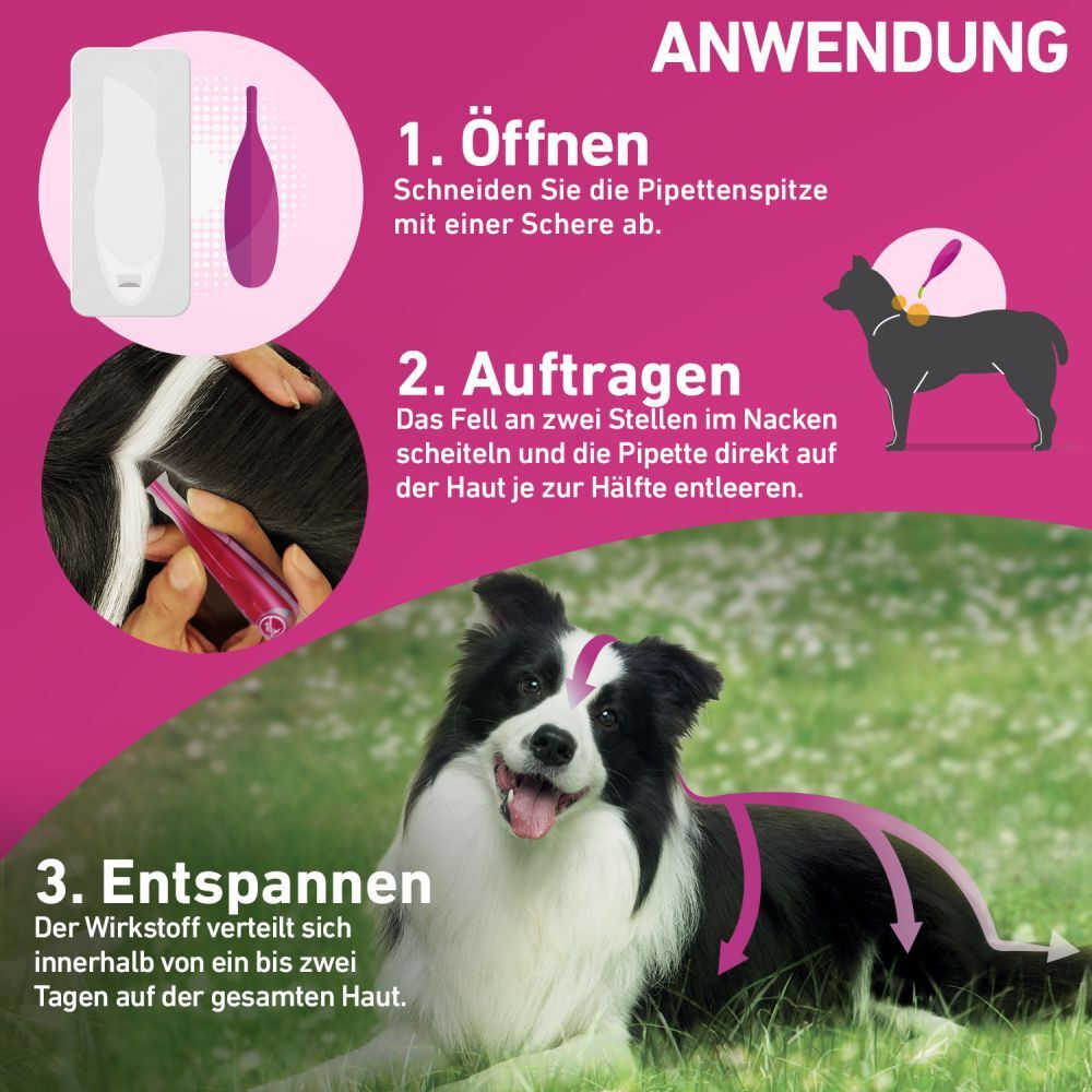 FRONTLINE TRI-ACT® gegen Zecken, Flöhe und fliegende Insekten beim Hund (10-20kg)