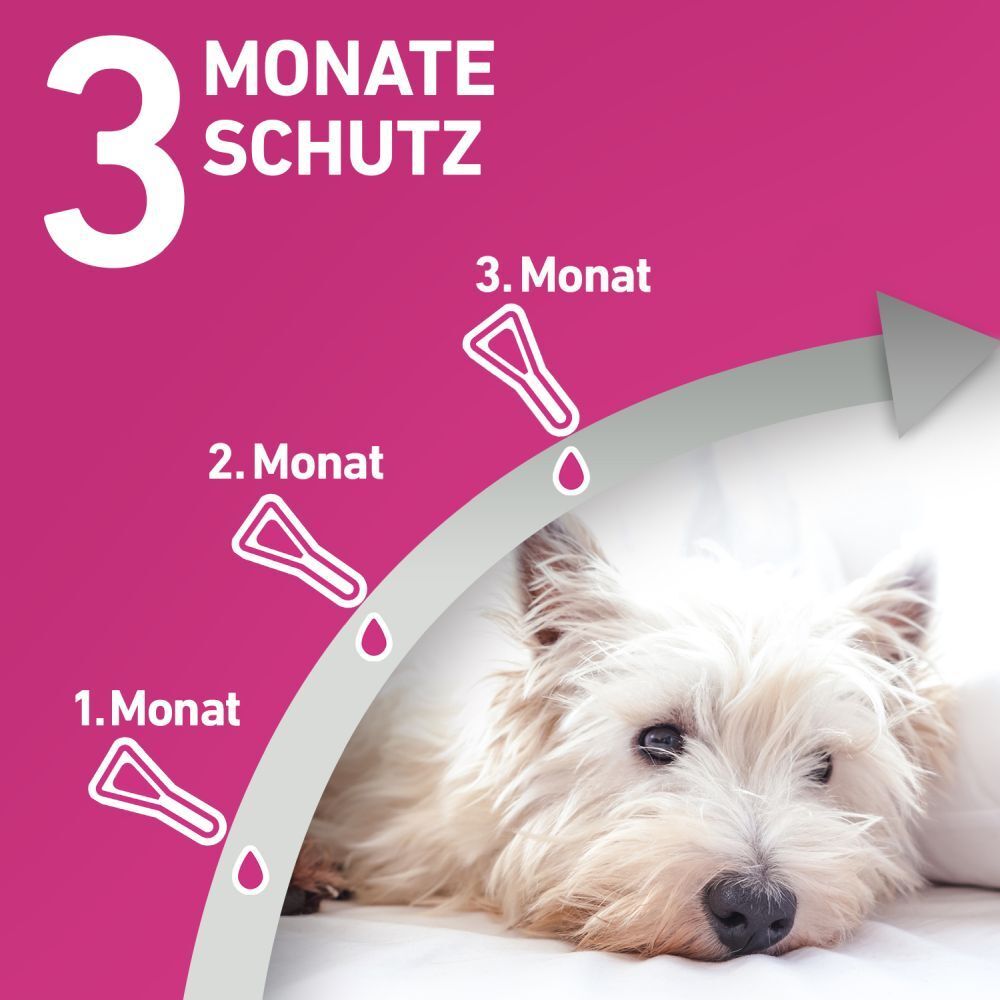 FRONTLINE TRI-ACT® gegen Zecken, Flöhe und fliegende Insekten beim Hund (10-20kg)