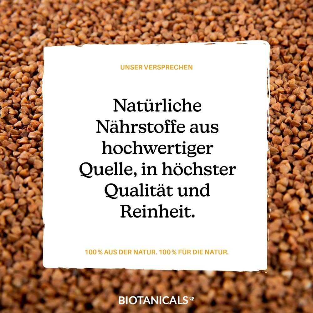 Biotanicals - Zink Kapseln aus natürlichem Buchweizenkeim Pulver
