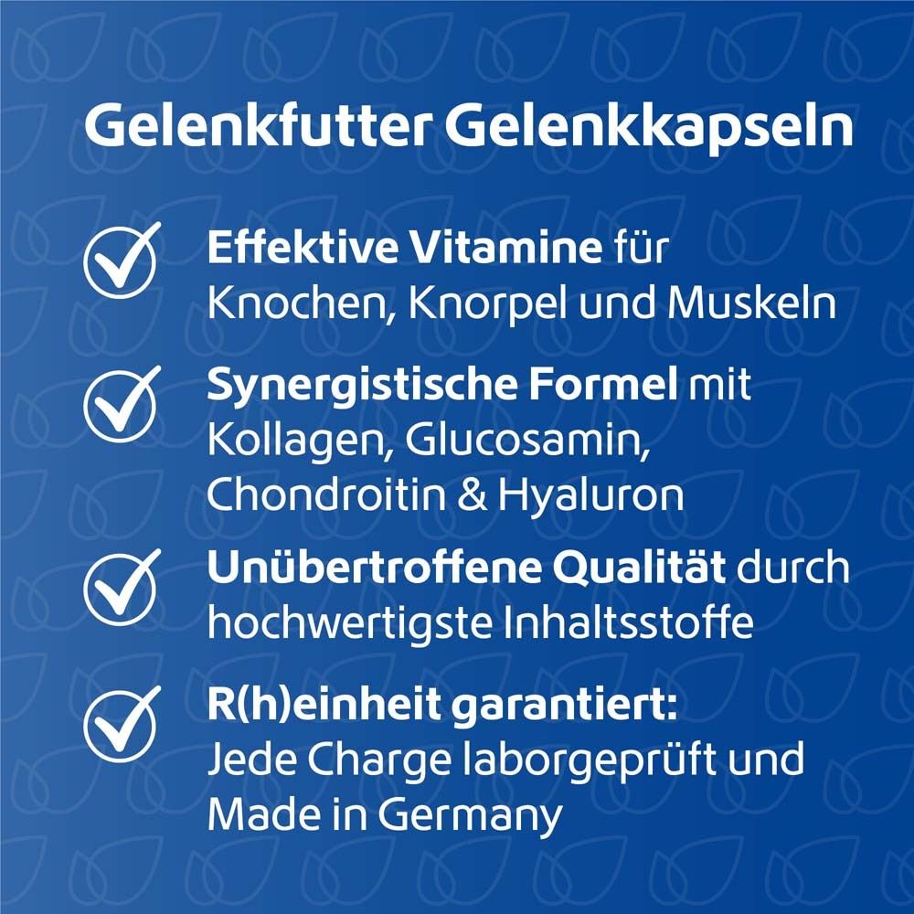 R(h)ein Nutrition Gelenkfutter mit Kollagen und Vitaminen