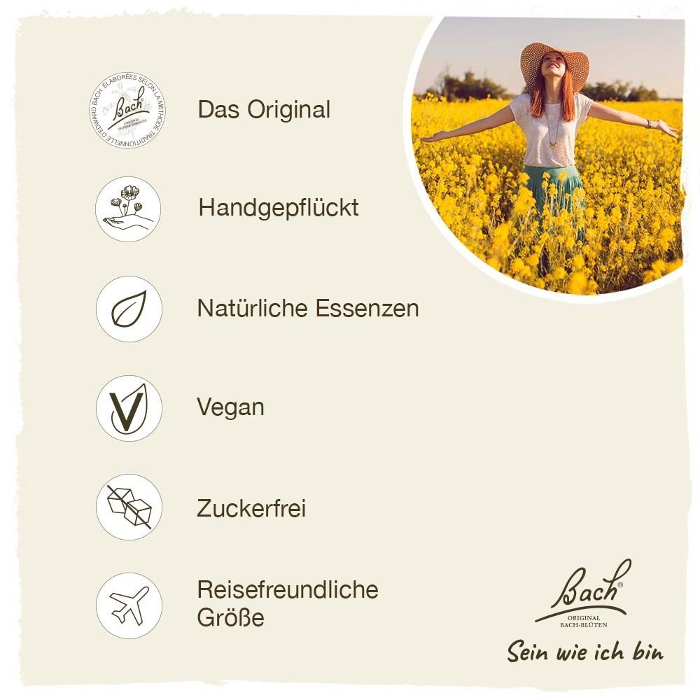 Verschiedene Logos und Texte. Handgepflückt, Natürliche Essenzen, Vegan, Zuckerfrei, Reisefreundliche Größe. Bach Logo.