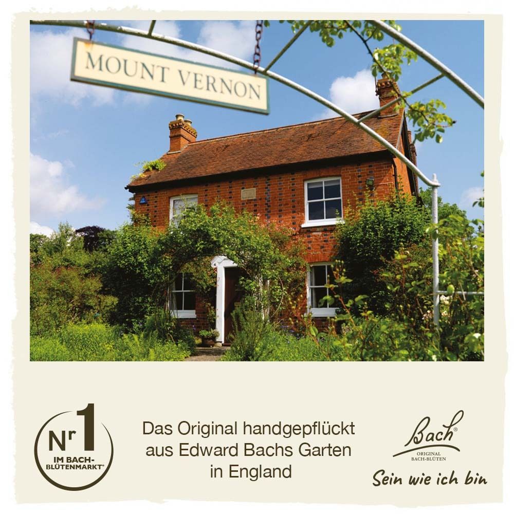 Foto eines Hauses mit Schild: Mount Vernon. Text: Das Original handgepflückt aus Edward Bachs Garten in England. Bach Logo.