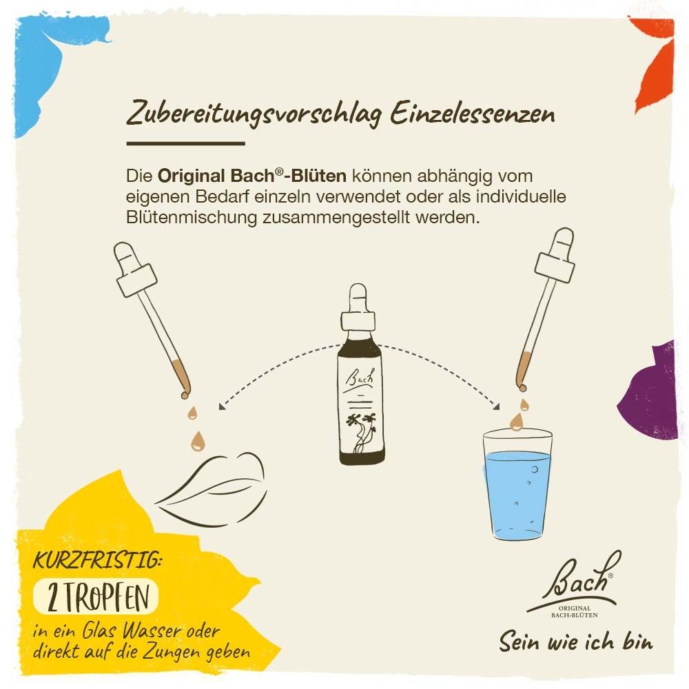 Anleitung zur Verwendung von Einzelessenzen. Zwei Tropfen in Wasser oder direkt auf die Zunge. Bach Logo.