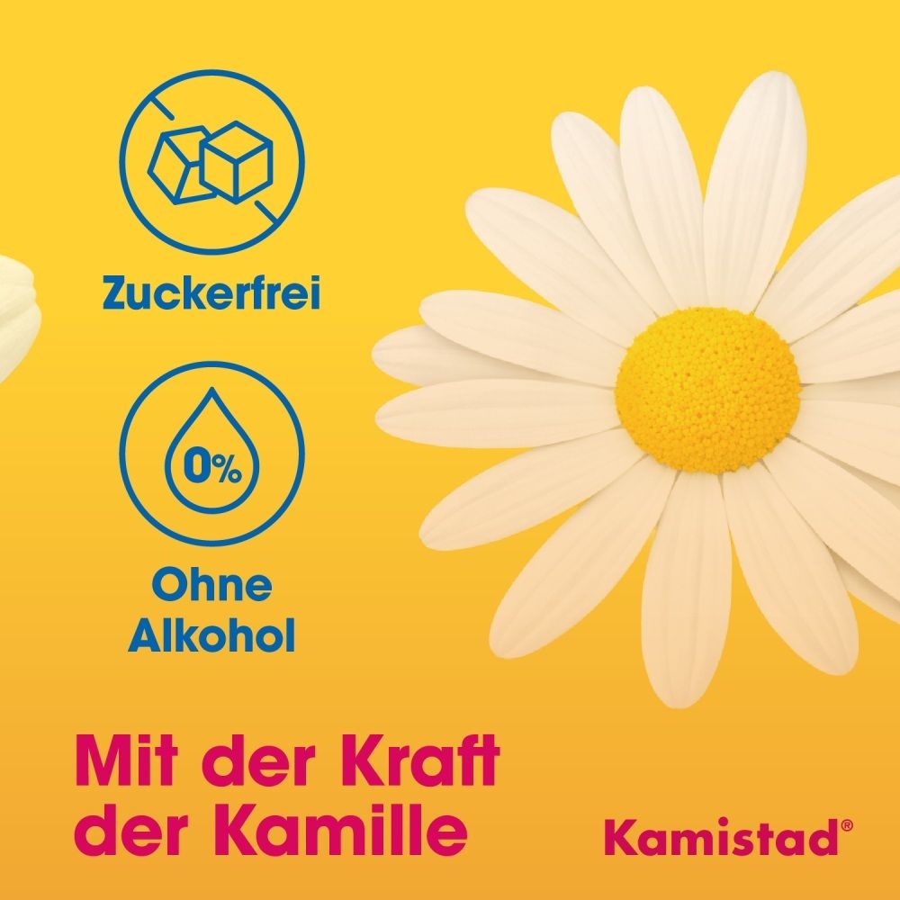 Kamistad Logo, Icons für 'Zuckerfrei' und 'Ohne Alkohol', Kamillenblüte.