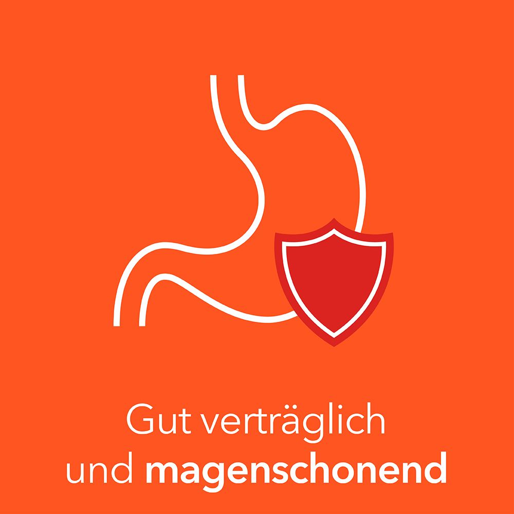 Symbol eines Magens mit Schild. Text: Gut verträglich und magenschonend.