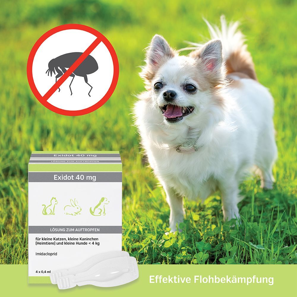 Exidot 40 mg Spot-On für Katzen, Kaninchen (Heimtiere) und/oder Hunde