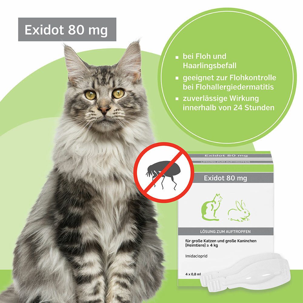 Exidot 80 mg Spot-On für große Katzen und große Kaninchen