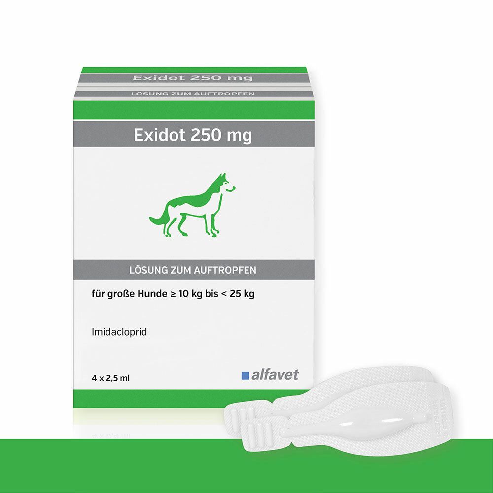 Exidot 250 mg Spot-On für große Hunde