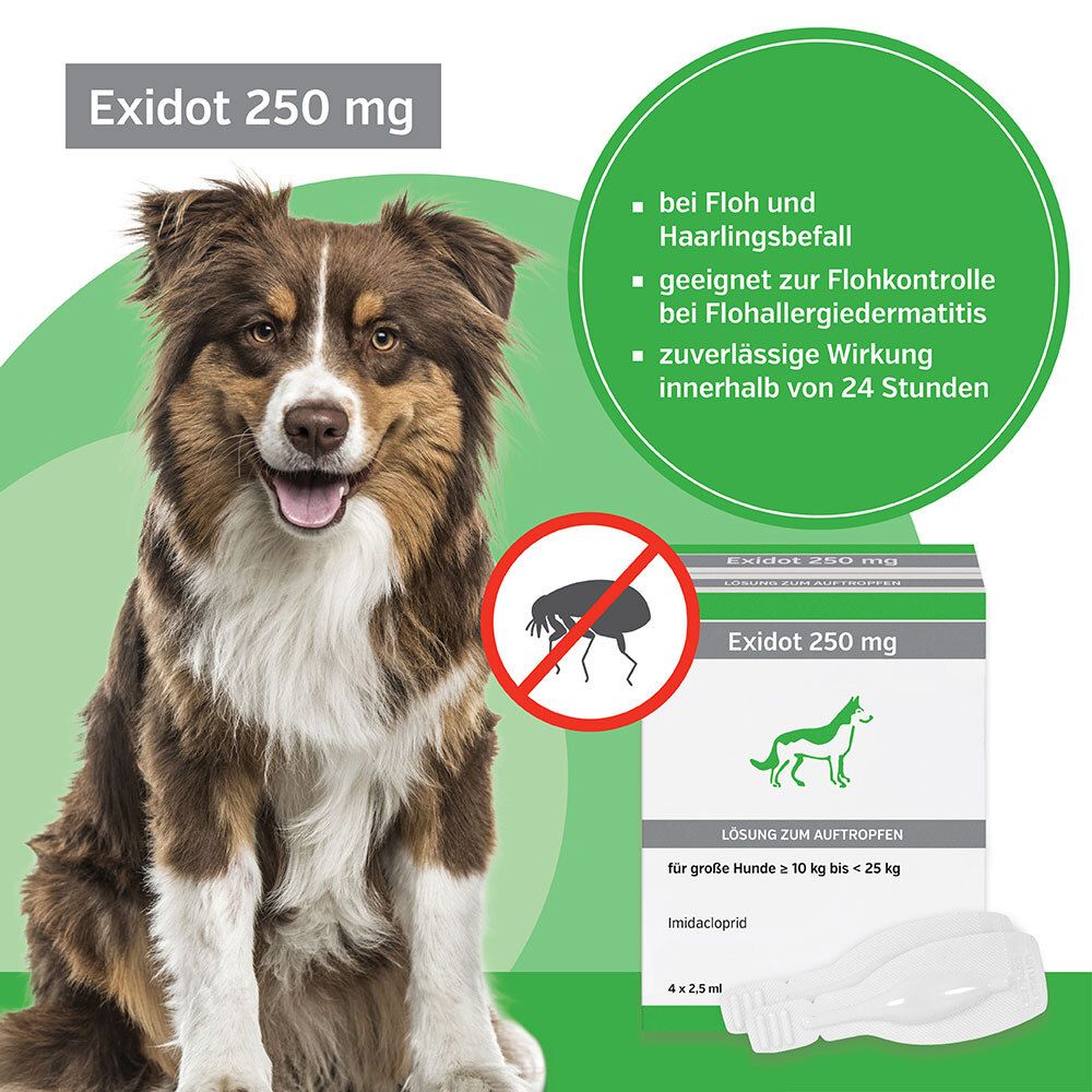 Exidot 250 mg Spot-On für große Hunde