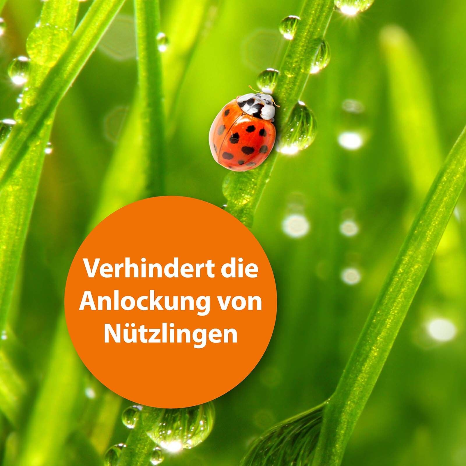 Fliegenfalle ARDAP Köderfalle