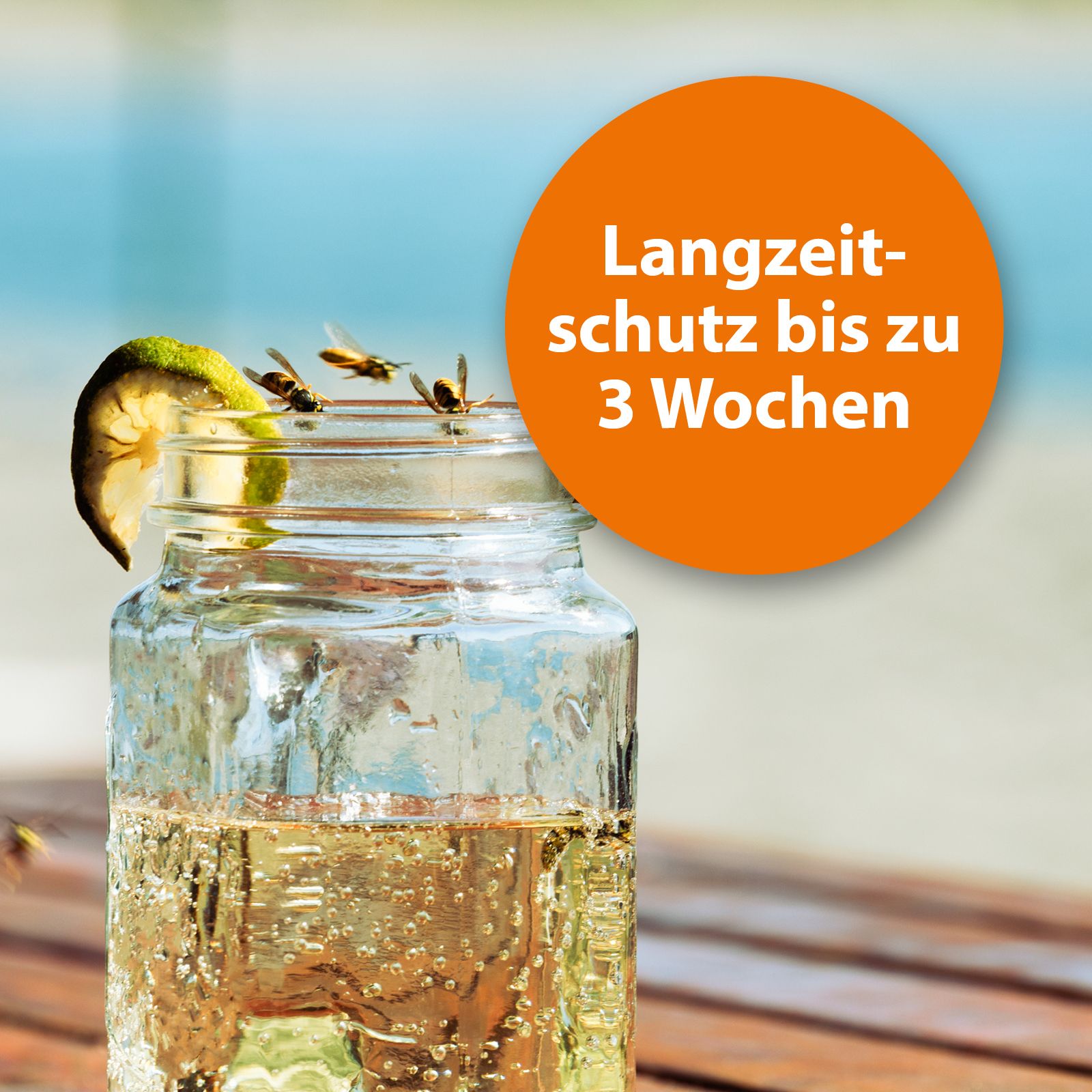 ARDAP Wespenfalle mit Langzeitschutz
