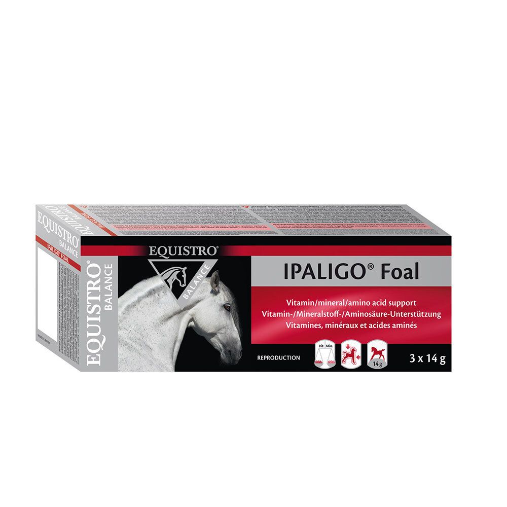 Equistro Ipaligo Foal 3X14 g Paste