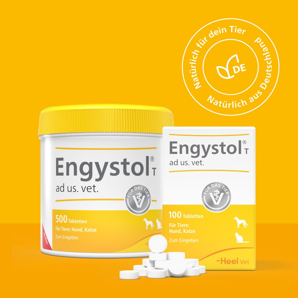 Engystol® ad us. vet. Tabletten