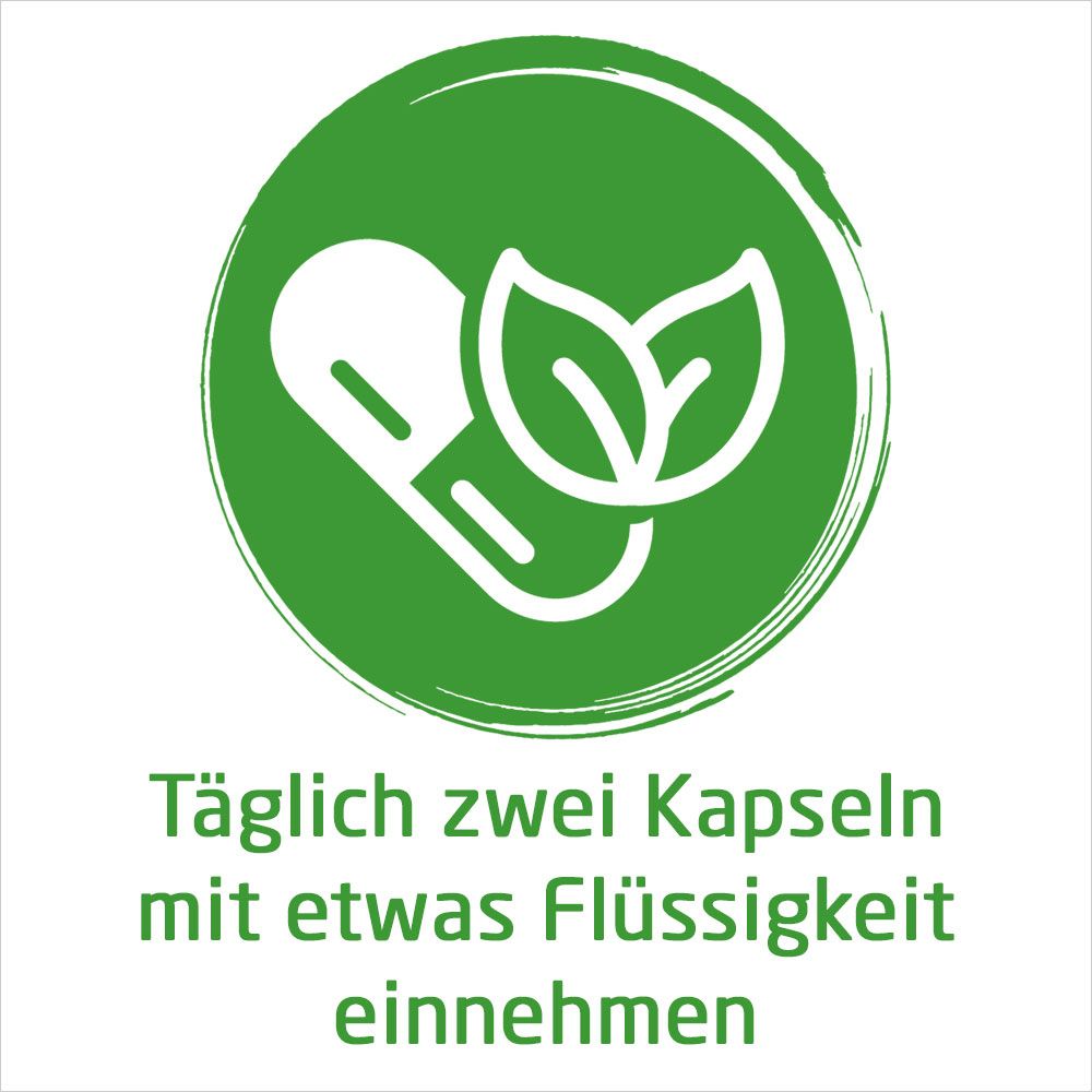 Grafik mit Kapsel und Blättern. Text: Täglich zwei Kapseln mit etwas Flüssigkeit einnehmen.