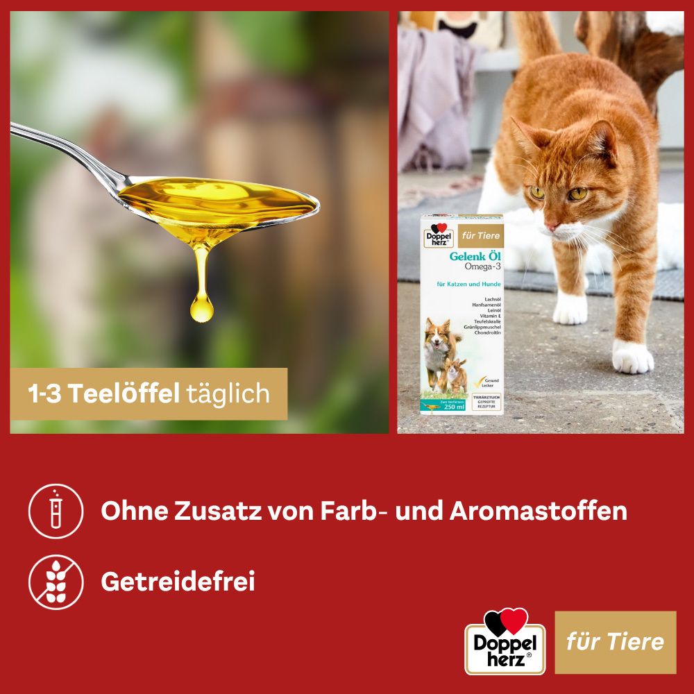 Öl tropft auf Löffel. 1-3 Teelöffel täglich. Ohne Zusatz von Farb- und Aromastoffen. Getreidefrei.
