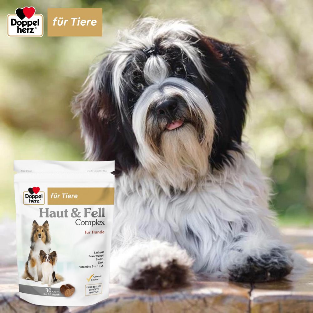 Produktverpackung von Doppelherz für Tiere Haut & Fell Complex für Hunde. Mit Hundefoto und Inhaltsstoffangaben.