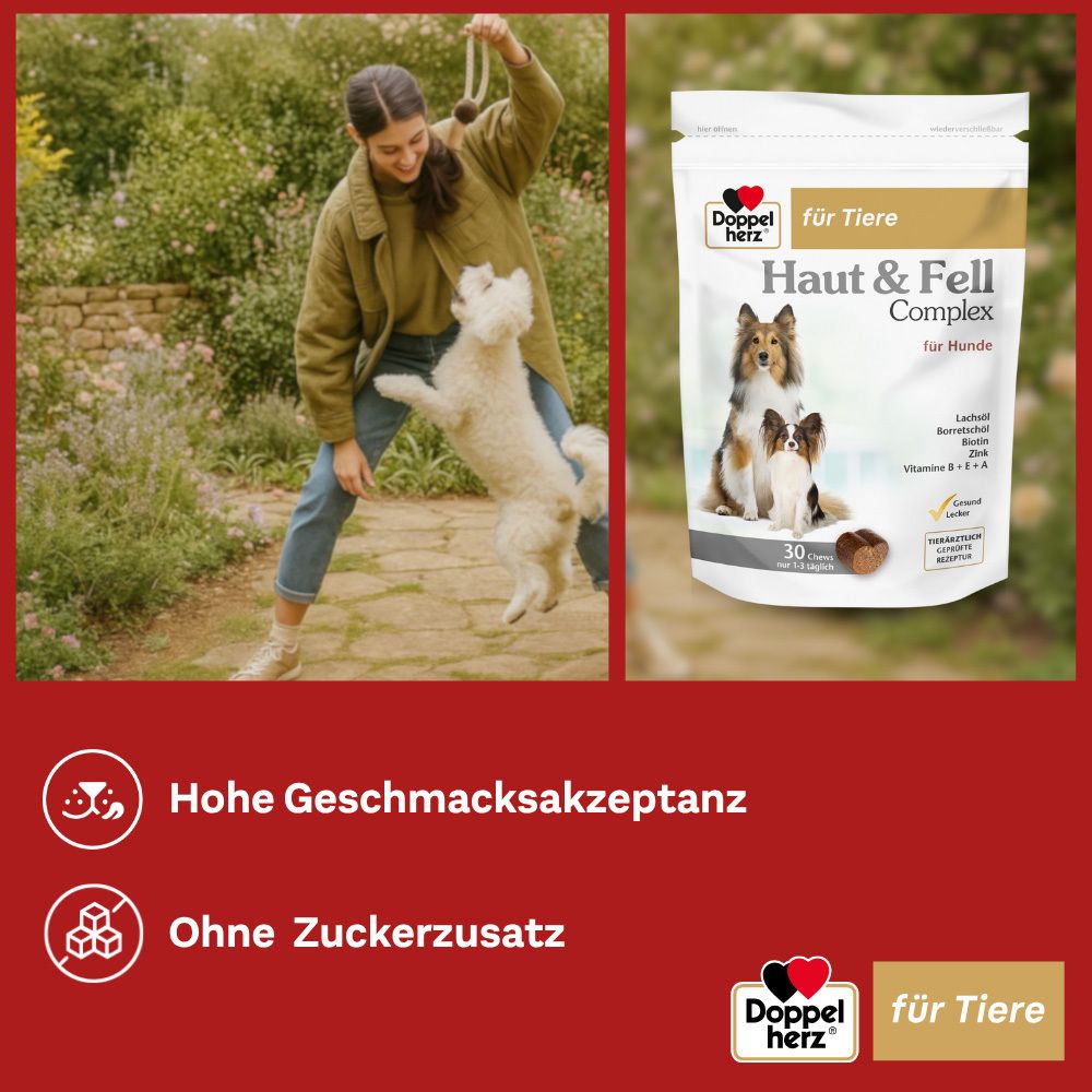 Produktabbildung: Doppelherz für Tiere Haut & Fell Complex für Hunde. Frau spielt mit Hund. Roter Hintergrund.