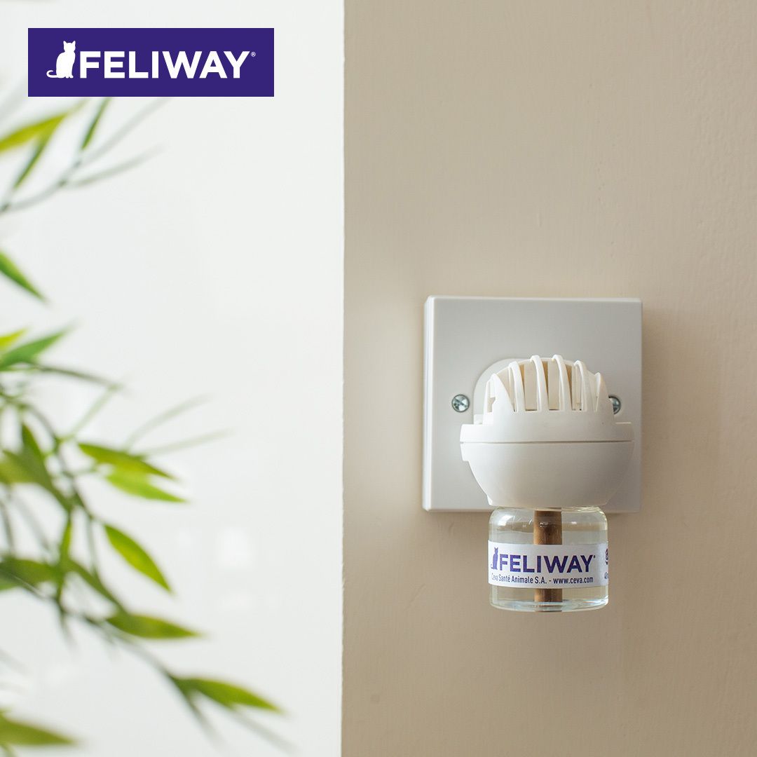 FELIWAY® Classic Start-Set