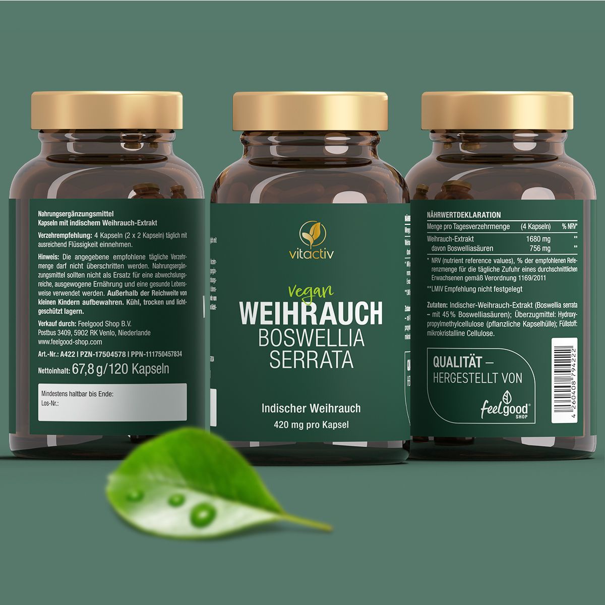 Vitactiv Weihrauch Boswellia Serrata Kapseln zur Verdauungsförderung 120 KAP