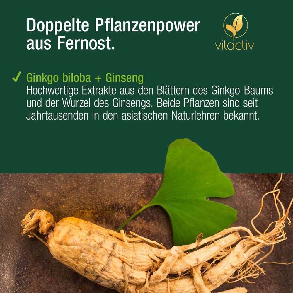 Ginsengwurzel und Ginkgoblatt. Text: Hochwertige Extrakte aus Ginkgo-Blättern und Ginsengwurzel.