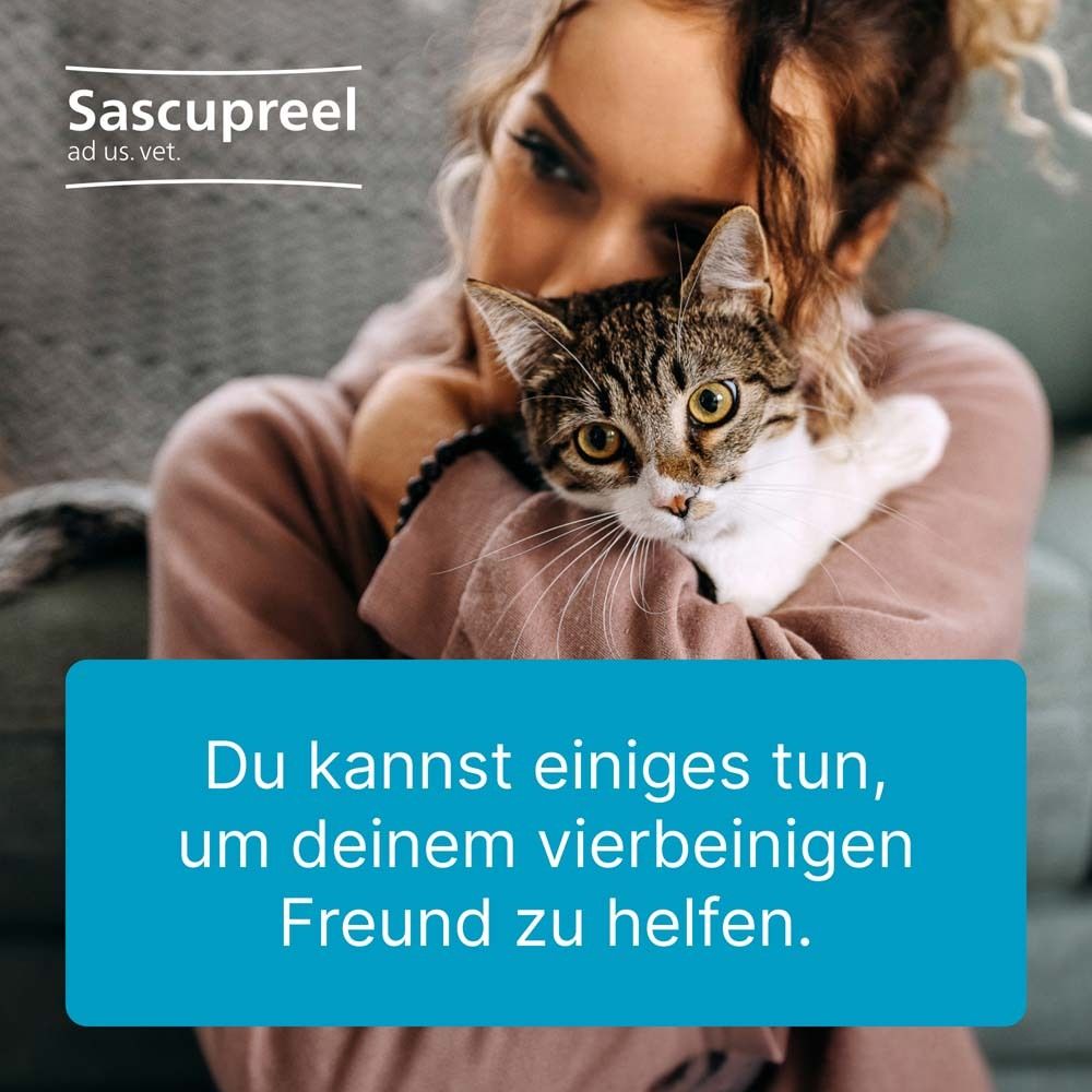 Eine Frau umarmt eine Katze. Text: Du kannst einiges tun, um deinem vierbeinigen Freund zu helfen.