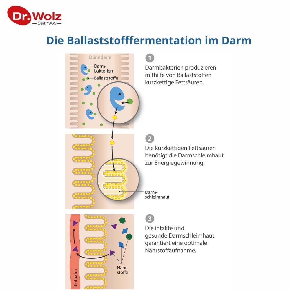 Grafische Darstellung der Ballaststofffermentation im Darm. 3 Schritte: Bakterien, Fettsäuren, gesunde Darmschleimhaut.
