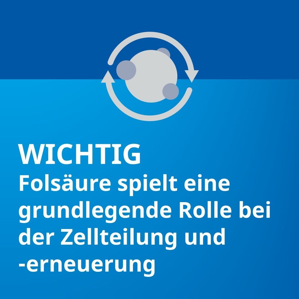 Symbol für Zellteilung. Folsäure spielt Rolle bei Zellteilung und -erneuerung.