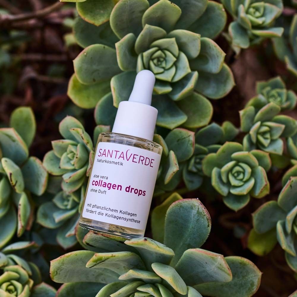 Serumflasche mit Pipette in Sukkulenten. Aufschrift: SANTAVERDE, collagen drops. Ohne Duft.