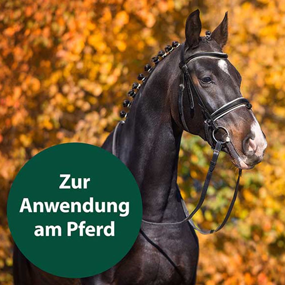 Equisept® Fliegen- und Bremsenspray