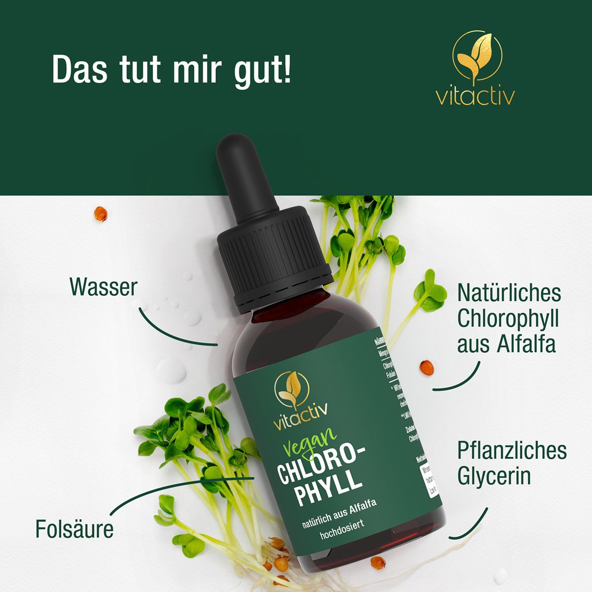 Vitactiv Chlorophyll Folsäure +