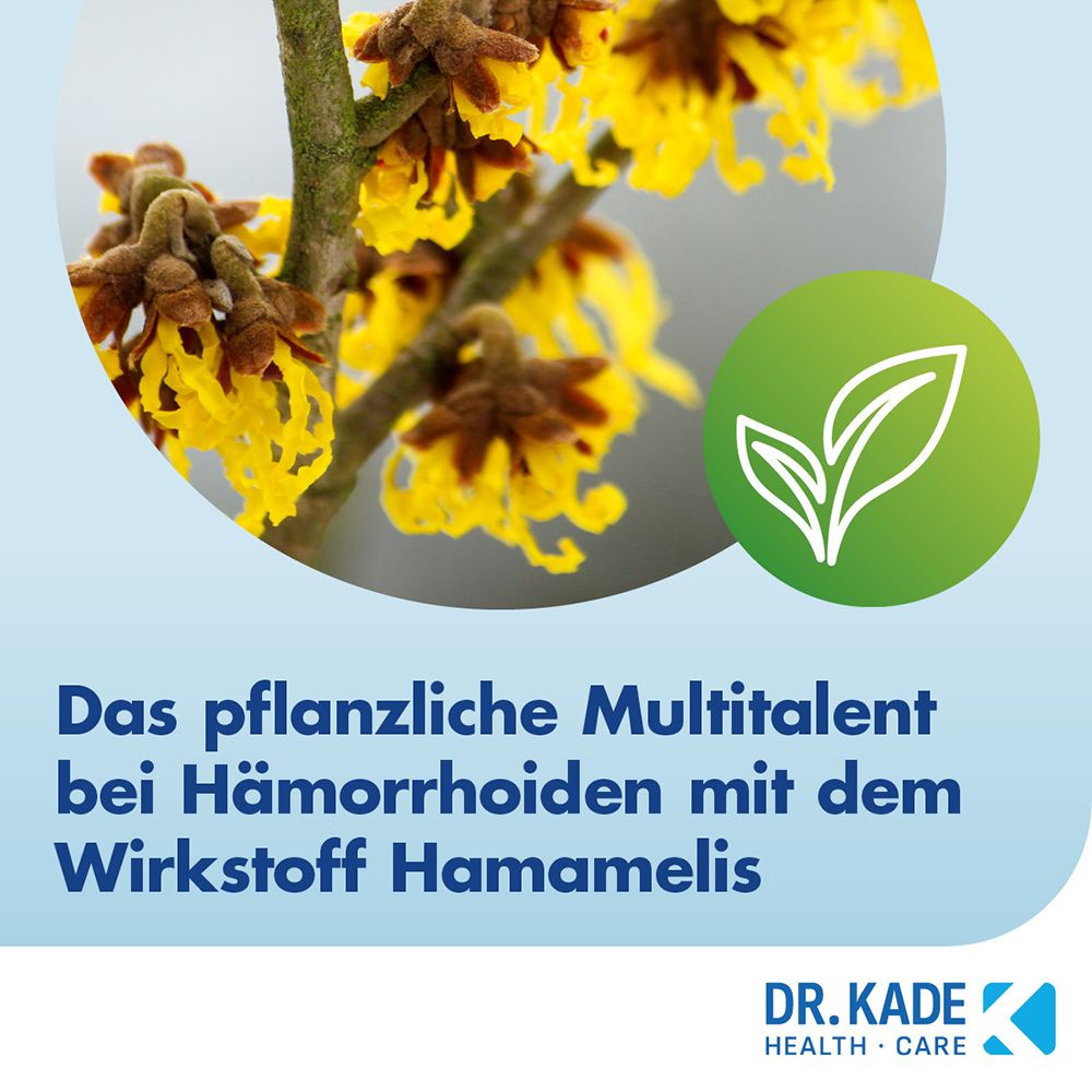 Nahaufnahme von Hamamelisblüten mit einem grünen Kreis-Symbol mit Blättern.