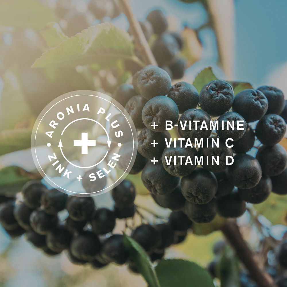 Aronia Plus mit Zink und Selen. B-Vitamine, Vitamin C und Vitamin D. Nahaufnahme von Aroniabeeren.