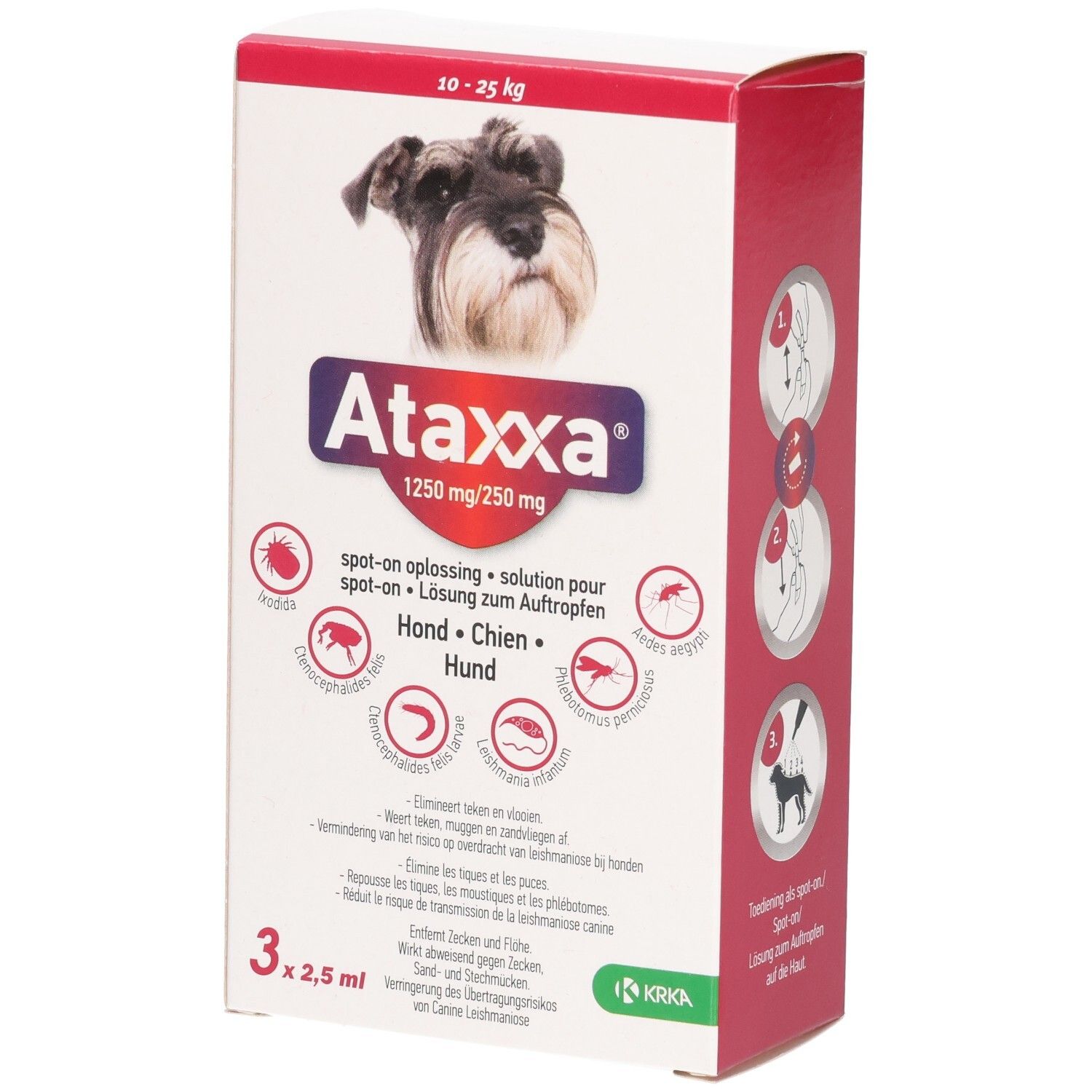 Ataxxa 1250mg/250mg Lsg.z.Auftro.f.Hunde 10-25kg 3 St Lösung