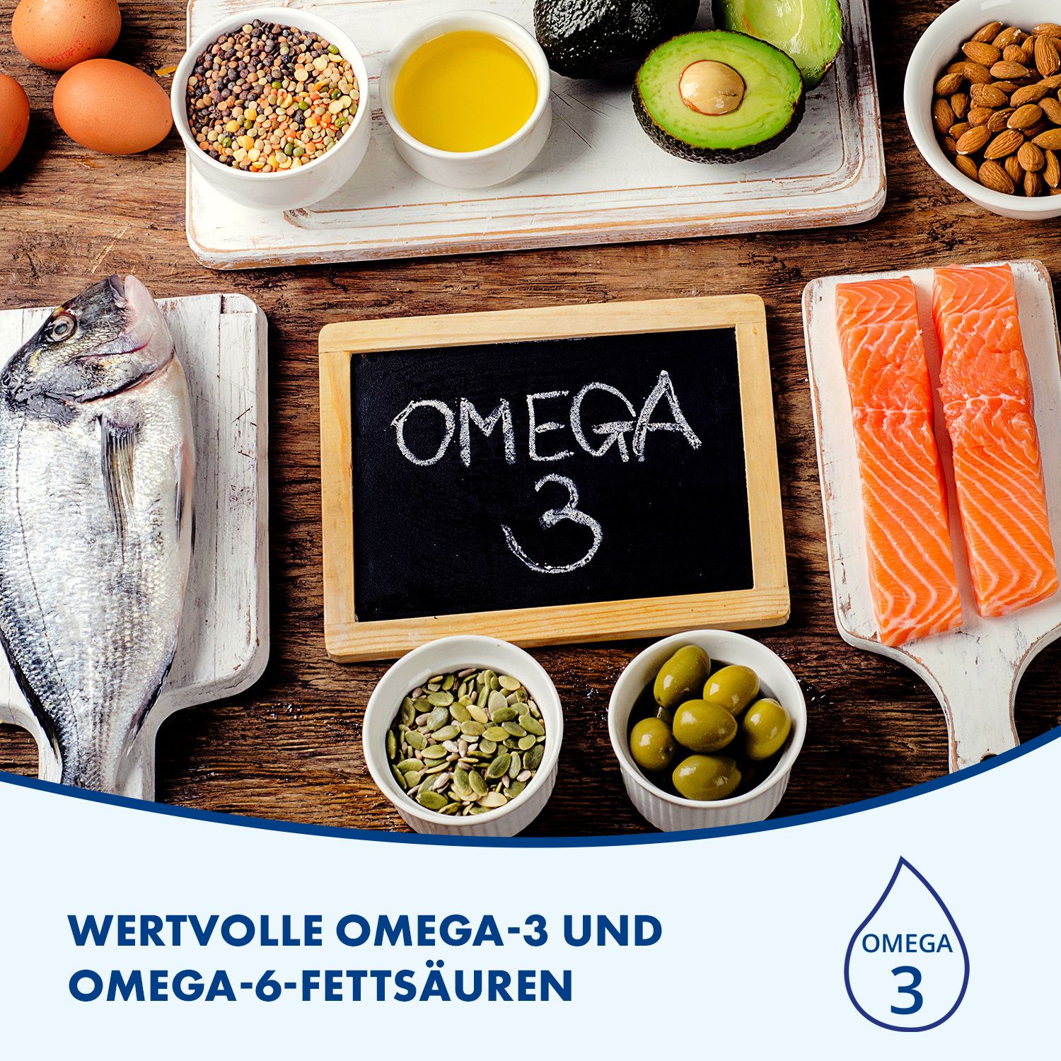 FOKUS IQ QUIRIS zur Unterstützung geistiger Leistungsfähigkeit mit Omega-3 und 6 und Vitamin-Mineralstoff Komplex
