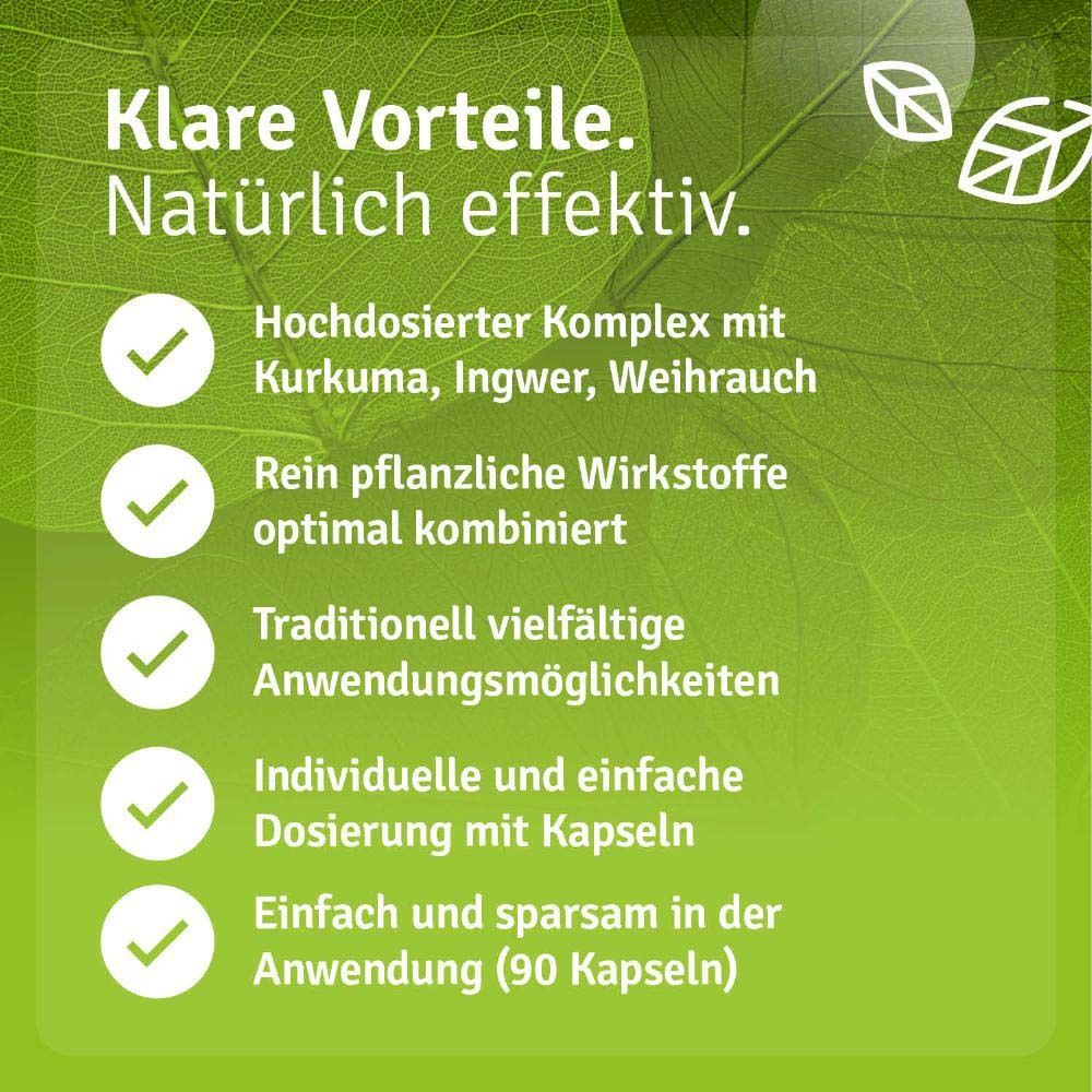 Text: Hochdosierter Komplex, rein pflanzliche Wirkstoffe, traditionell vielfältige Anwendungsmöglichkeiten, einfache Dosierung.