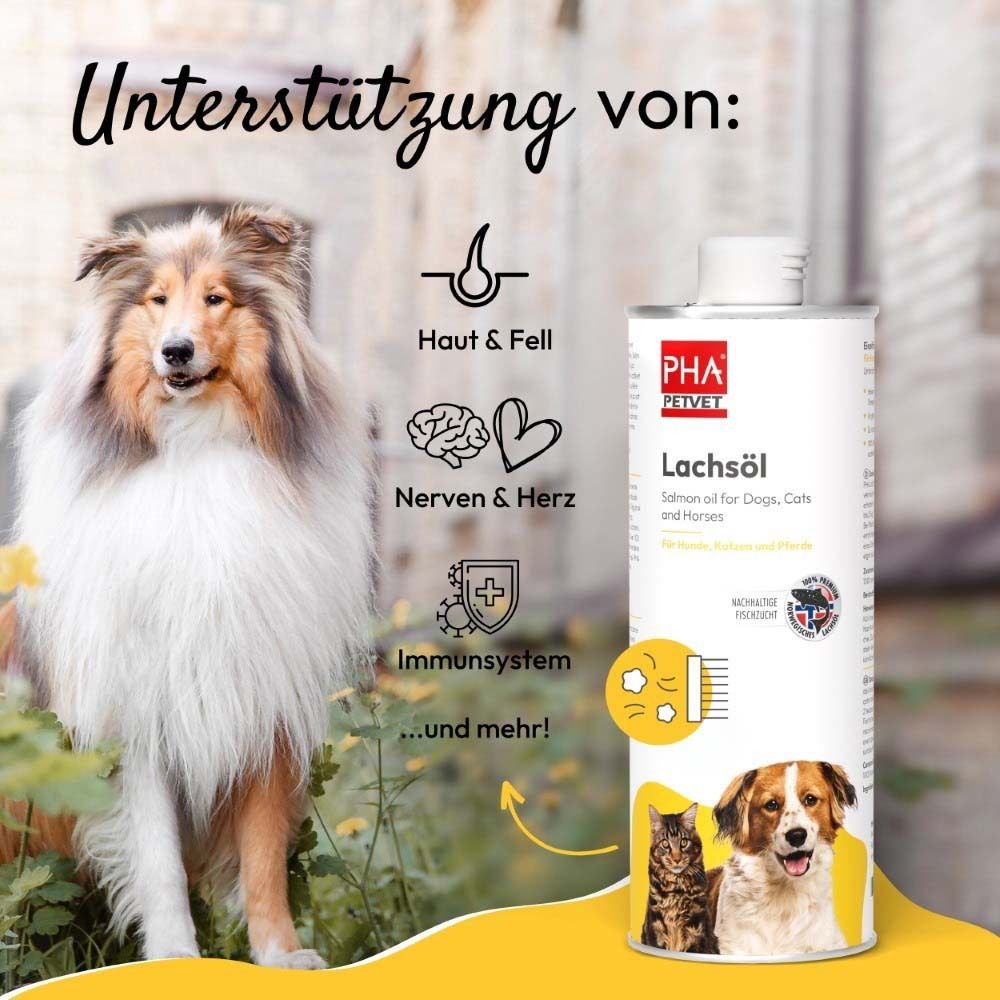 Flasche mit Lachsöl neben einem Hund. Aufschrift: PHA Petvet Lachsöl. Text: Salmon oil for Dogs, Cats and horses. Unterstützt Haut, Fell, Nerven, Herz, Immunsystem.