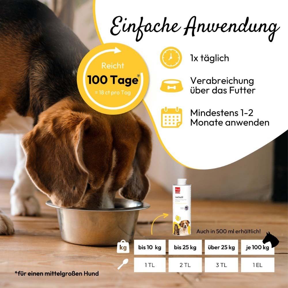 Hund isst aus Napf. Dose Lachsöl daneben. Text: Einfache Anwendung. 1x täglich. Dosierung.