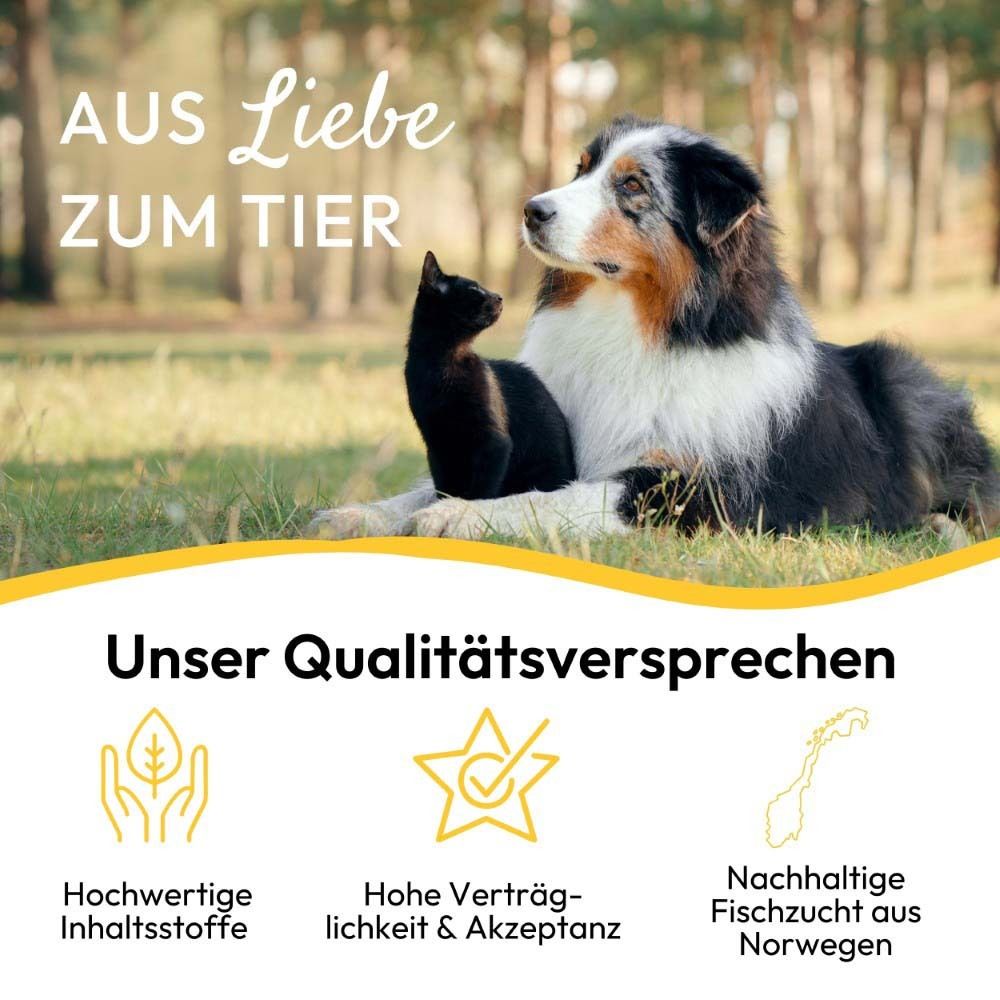 Hund und Katze sitzen zusammen. Text: Aus Liebe zum Tier. Unser Qualitätsversprechen. Nachhaltige Fischzucht.