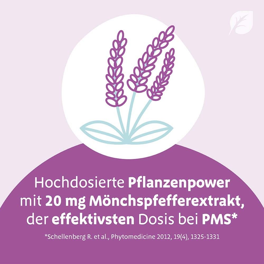 Grafik: Lavendelblüten. Text: Hochdosierte Pflanzenpower mit 20 mg Mönchspfefferextrakt, der effektivsten Dosis bei PMS.