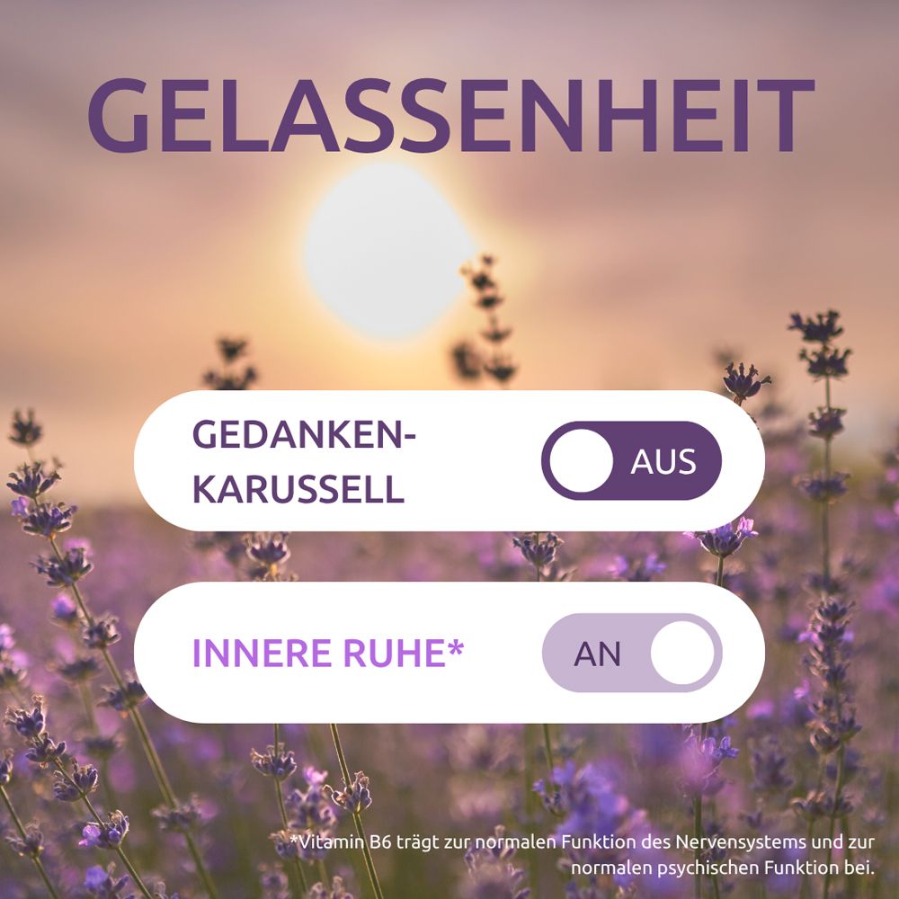 Grafik mit Schiebereglern. Text: Gedankenkarussell AUS, Innere Ruhe AN. Hintergrund: Lavendelfeld.