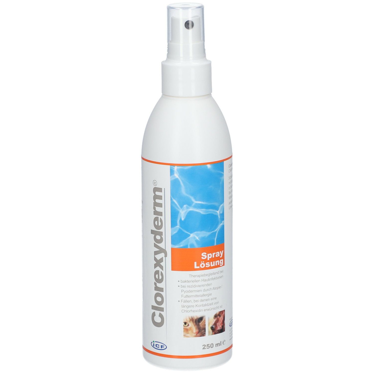 Weiße Sprühflasche mit transparentem Sprühkopf. Text: Clorexyderm®, Spray Lösung. Abbildung von Tieren. Volumen: 250 ml.