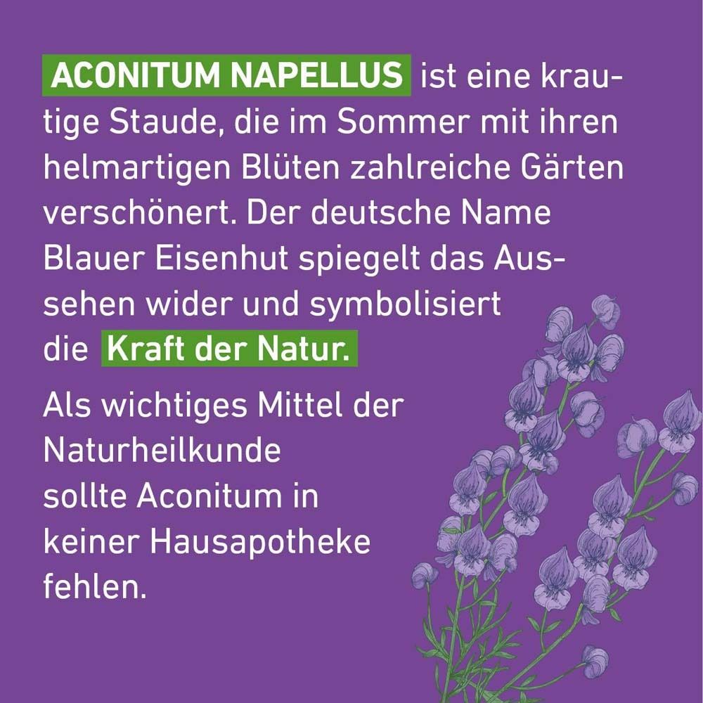 Text auf lila Hintergrund: Aconitum Napellus, Beschreibung der Pflanze und Kraft der Natur.