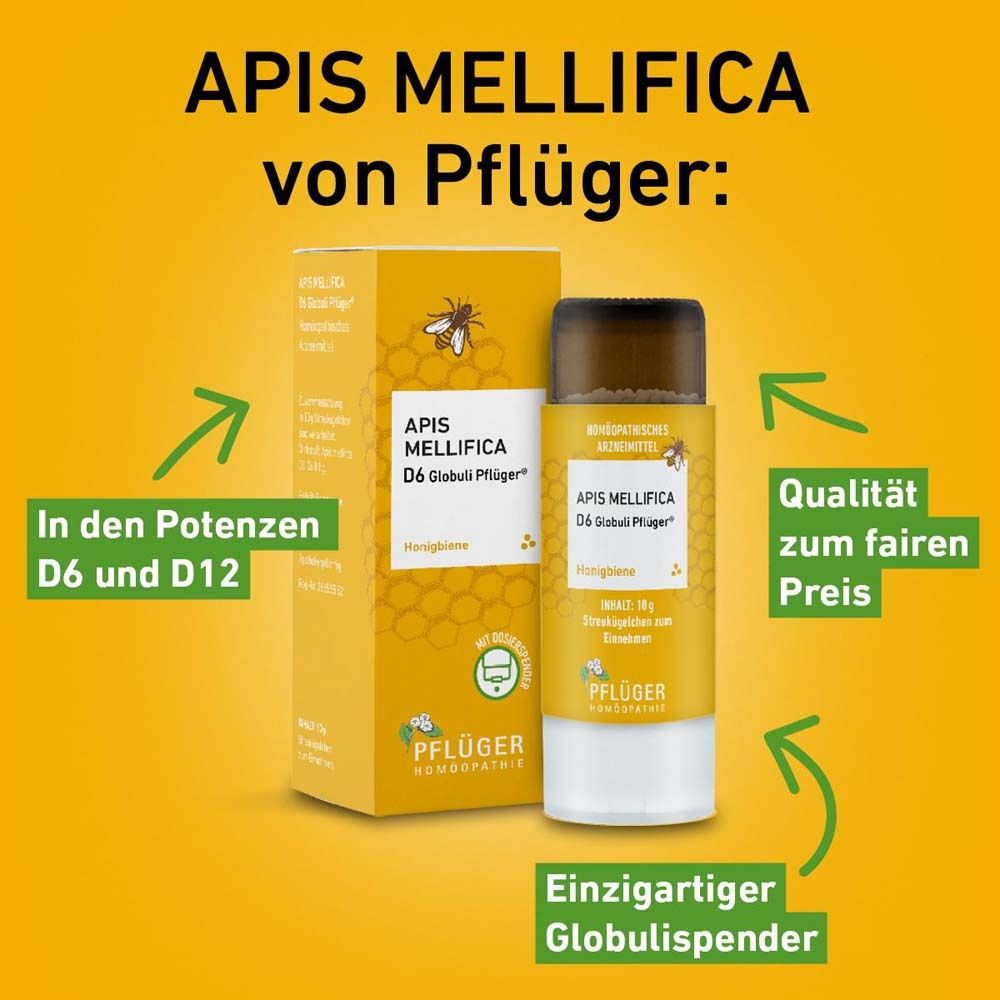Apis mellifica von Pflüger: D6 und D12 Potenzen, Globulis-Spender, Qualität zum fairen Preis.