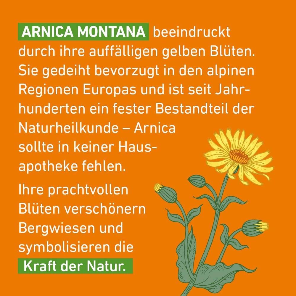 Text über Arnica Montana. Gelbe Blüten, Alpenregionen, Naturheilkunde. Text auf orangefarbenem Hintergrund.