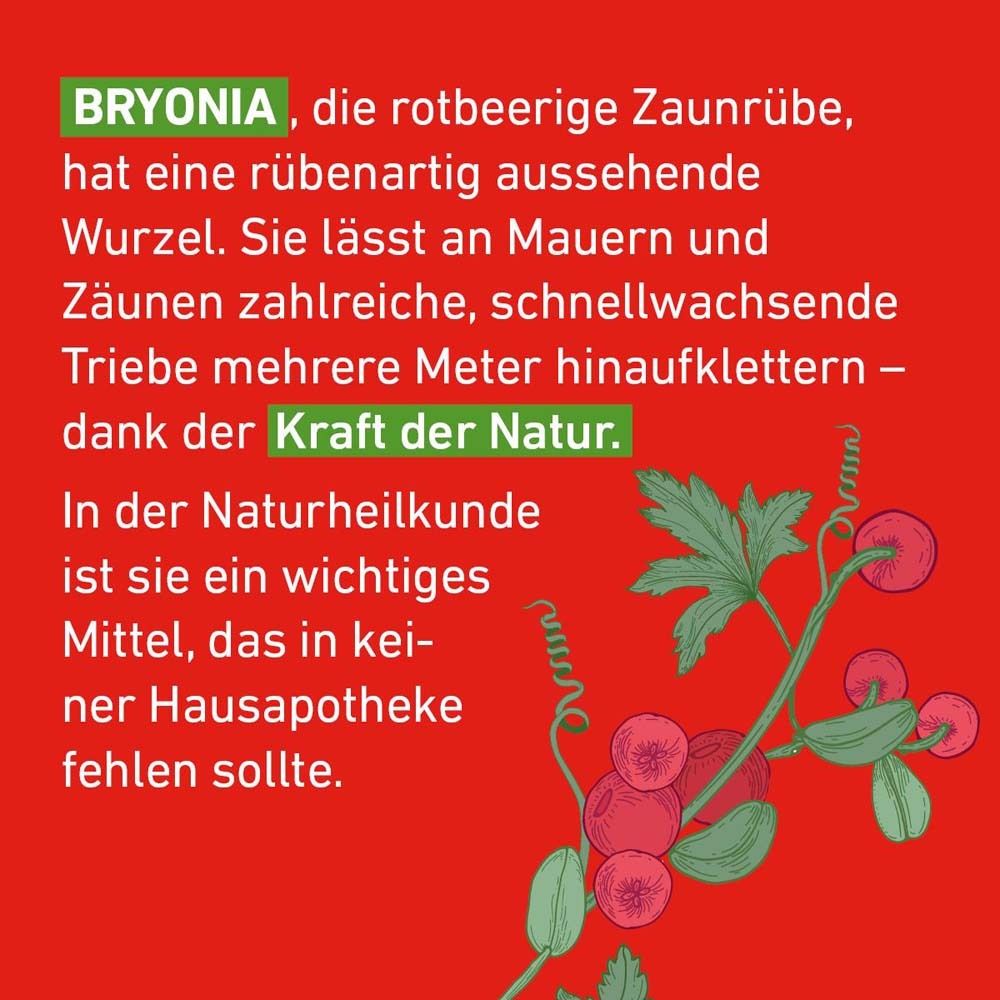 Text auf rotem Hintergrund. Bryonia, die rote Zaunrübe, hat eine rübenartig aussehende Wurzel. Text über Naturheilkunde.