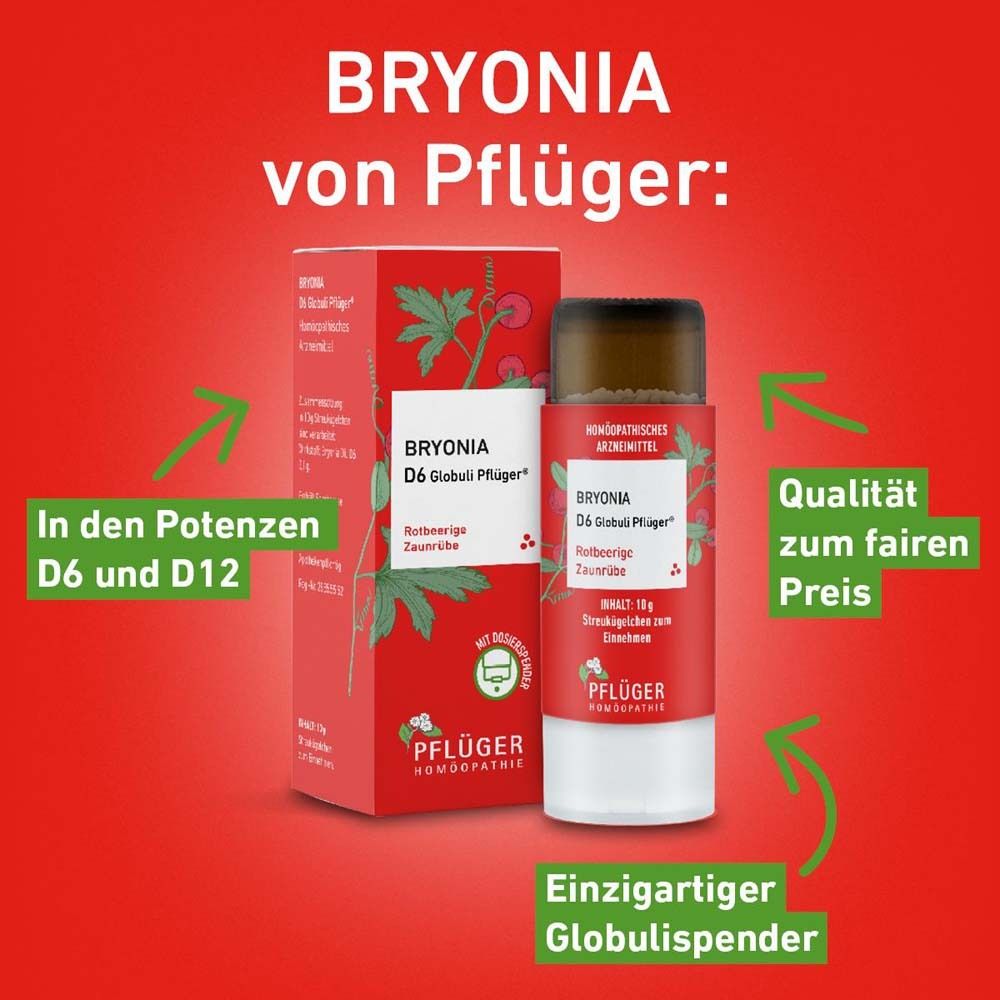 Produkt auf rotem Hintergrund. Bryonia von Pflüger. D6 und D12 Potenzen, einzigartiger Globulispender, Qualität.