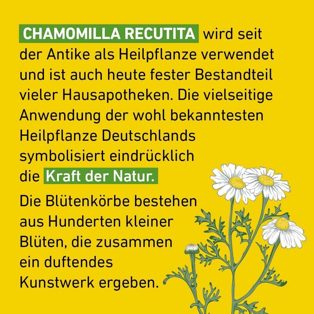 Text auf gelbem Hintergrund über Chamomilla Recutita. Illustrationen von Kamillenblüten.